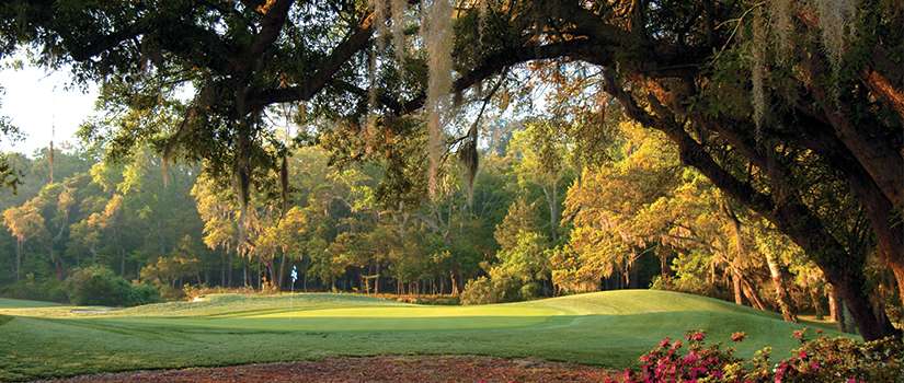 Looking to Play some Great South End Courses?