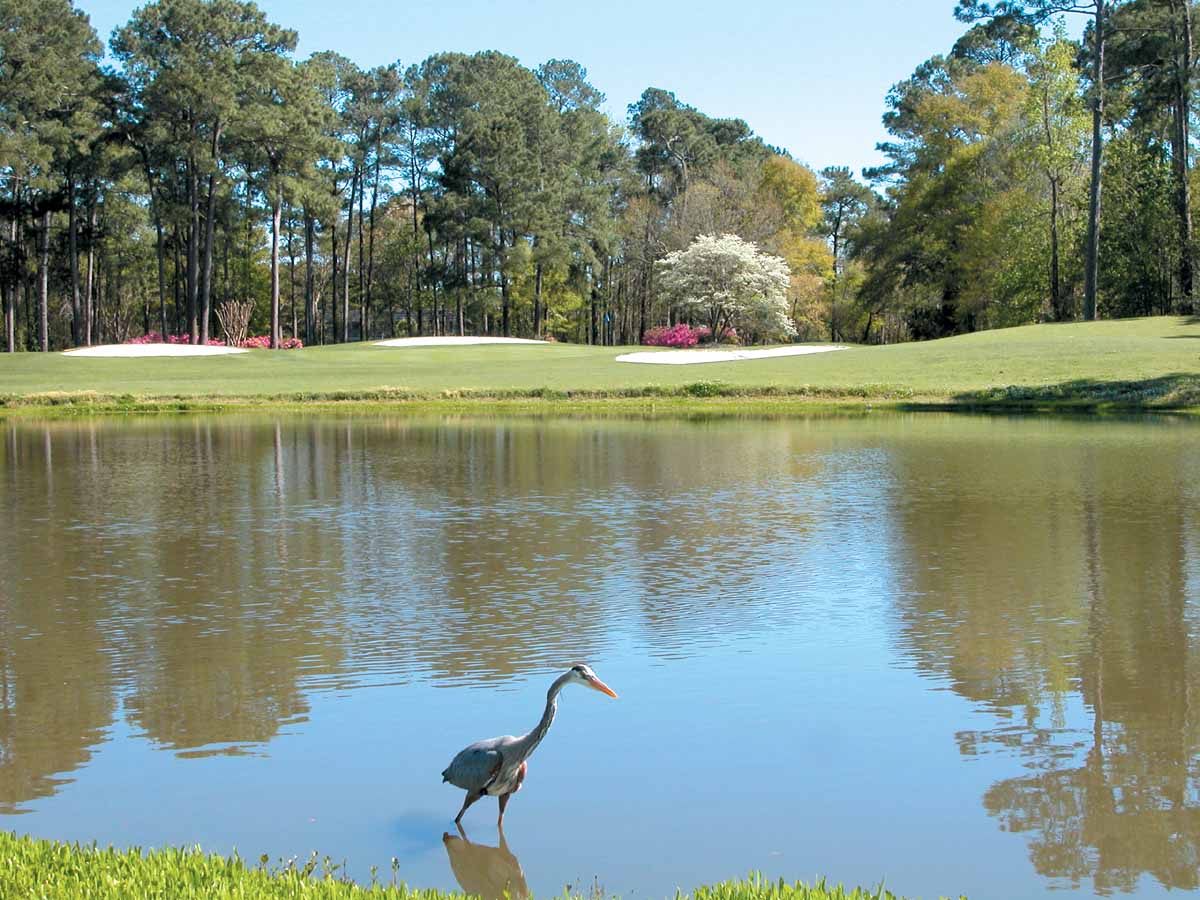 Eagle Nest Golf Course